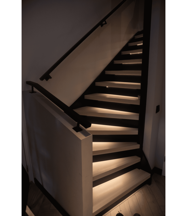 PROINN Stalen Trapleuning - 50x30