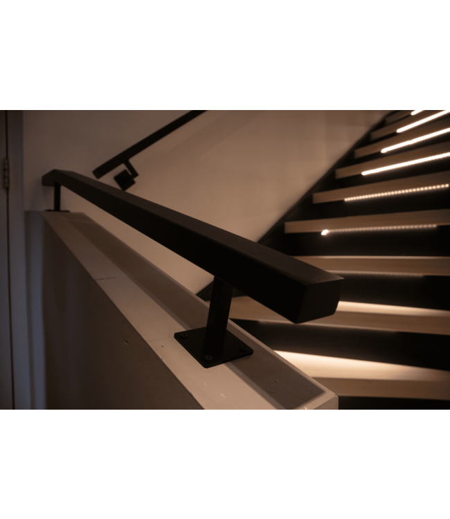 PROINN Stalen Trapleuning - 50x30