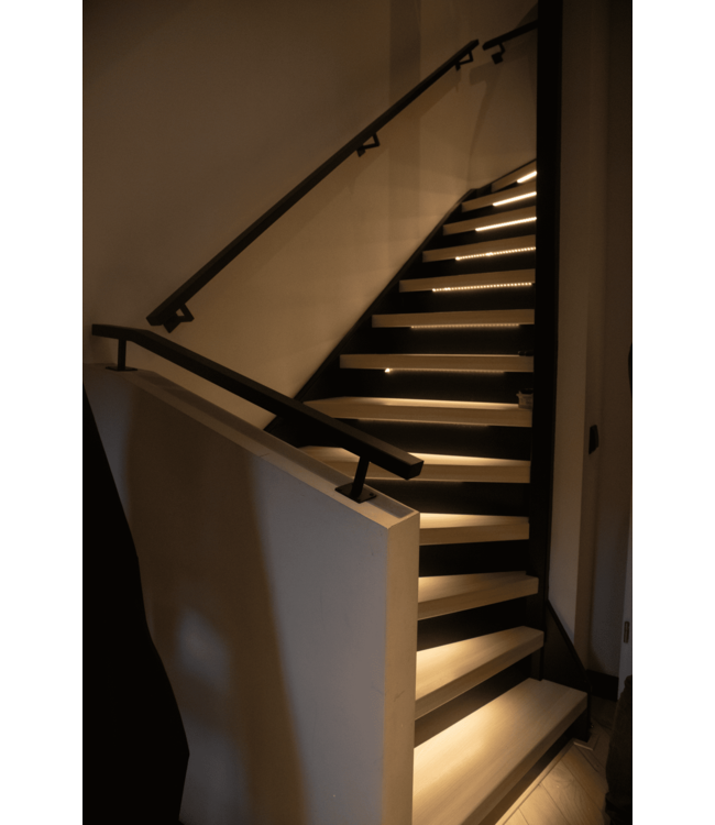 PROINN Stalen Trapleuning - 50x30