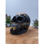Orognite skull