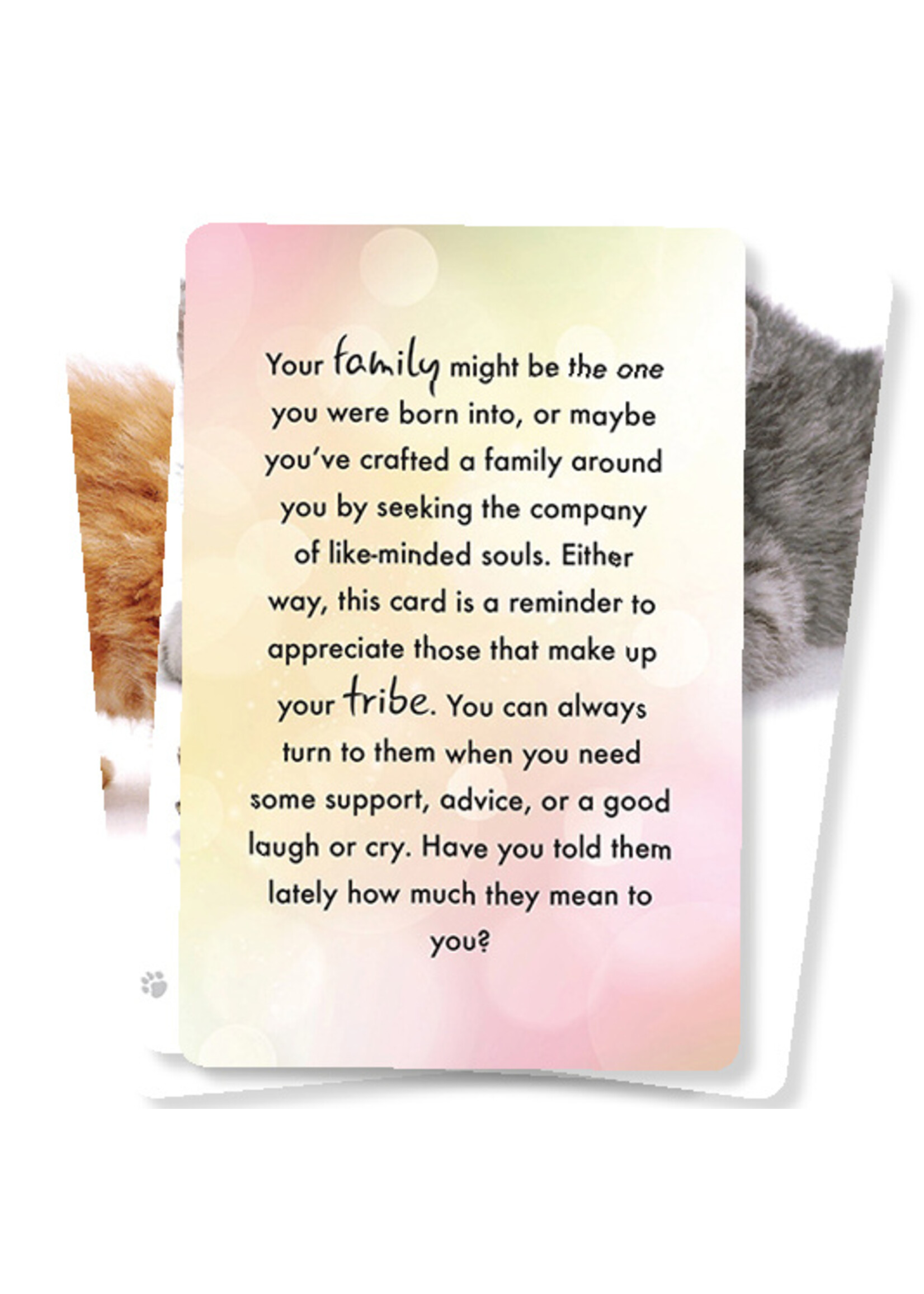 Cat Wisdom orakelkaarten