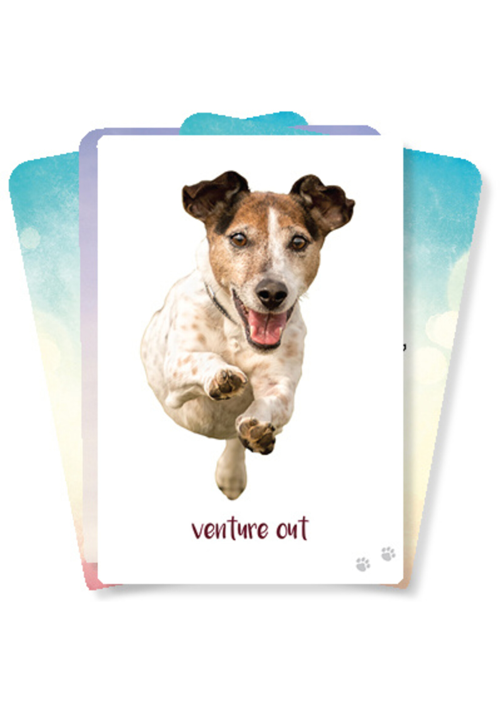 Dog Wisdom Orakelkaarten