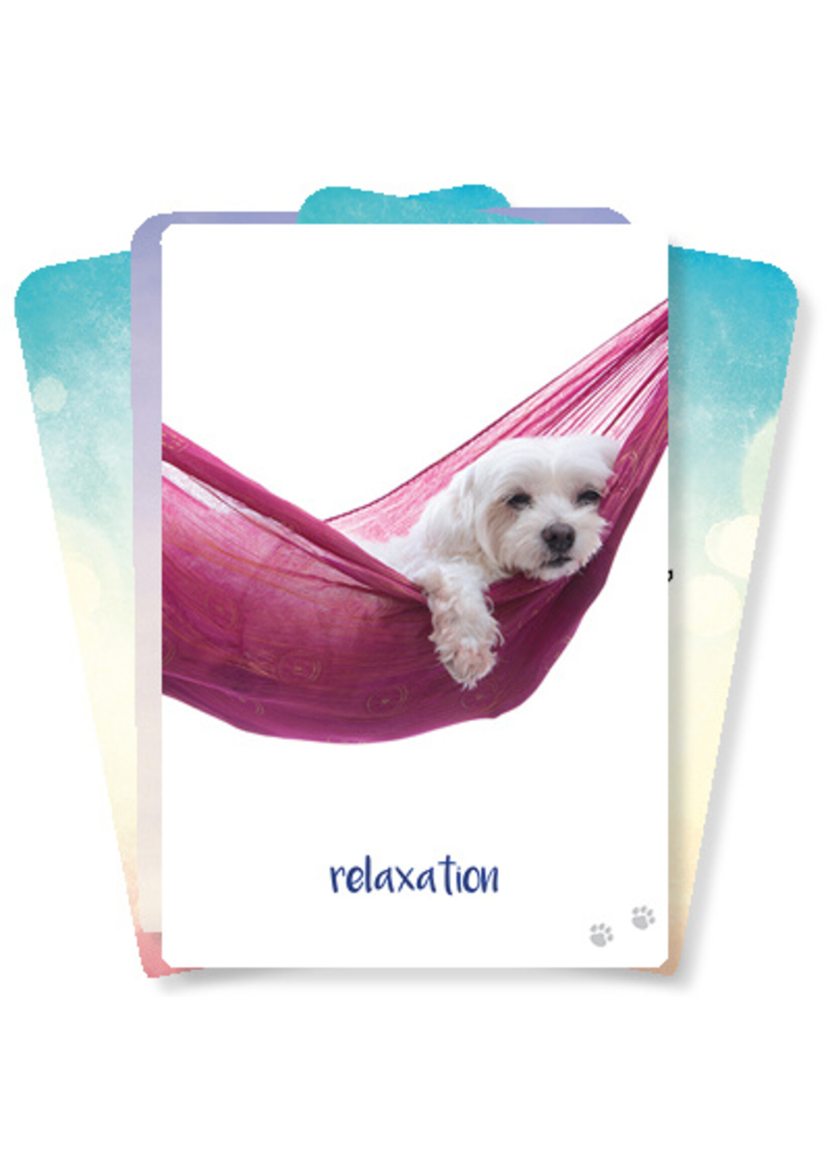 Dog Wisdom Orakelkaarten