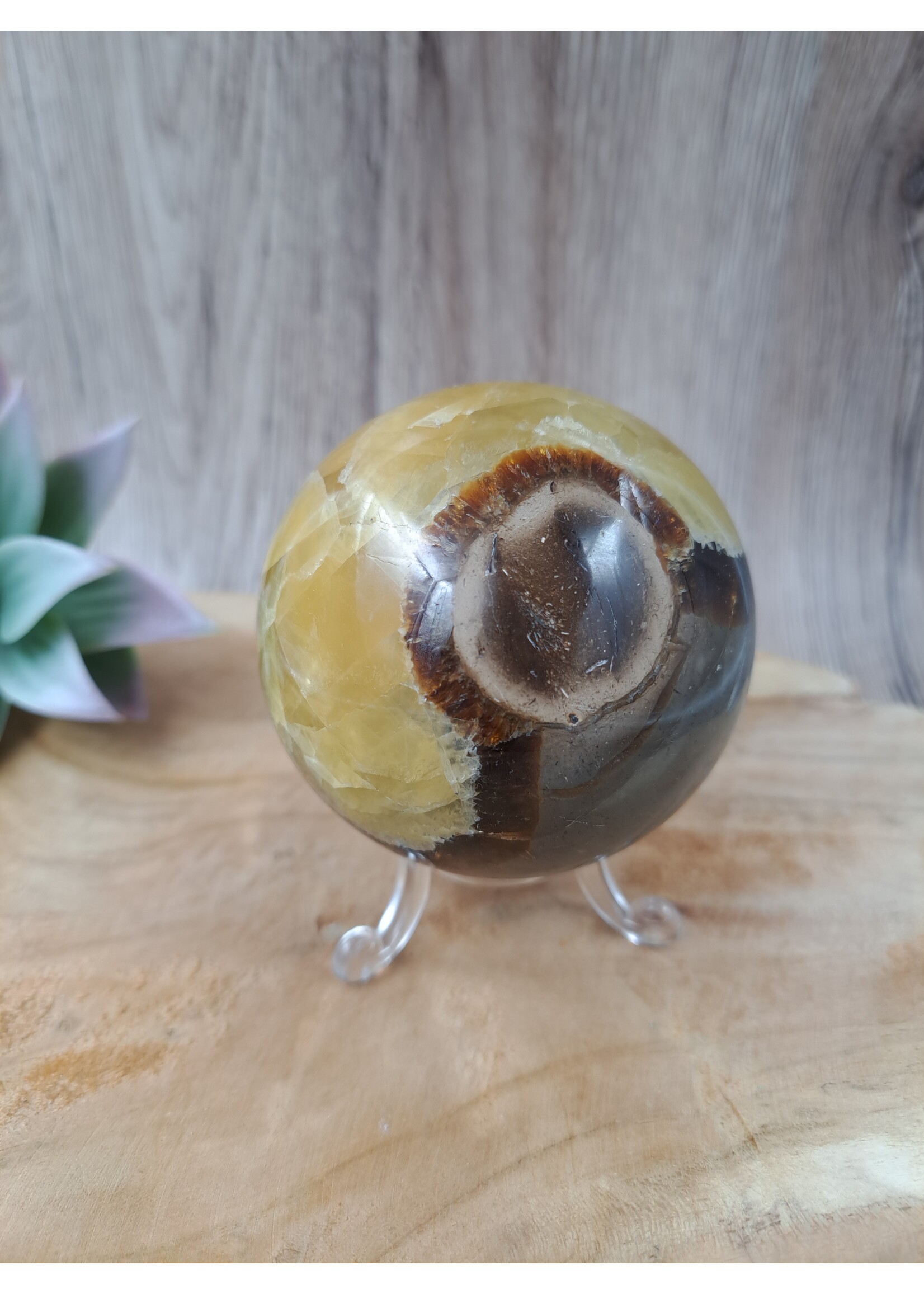 Septarie bol 7 cm