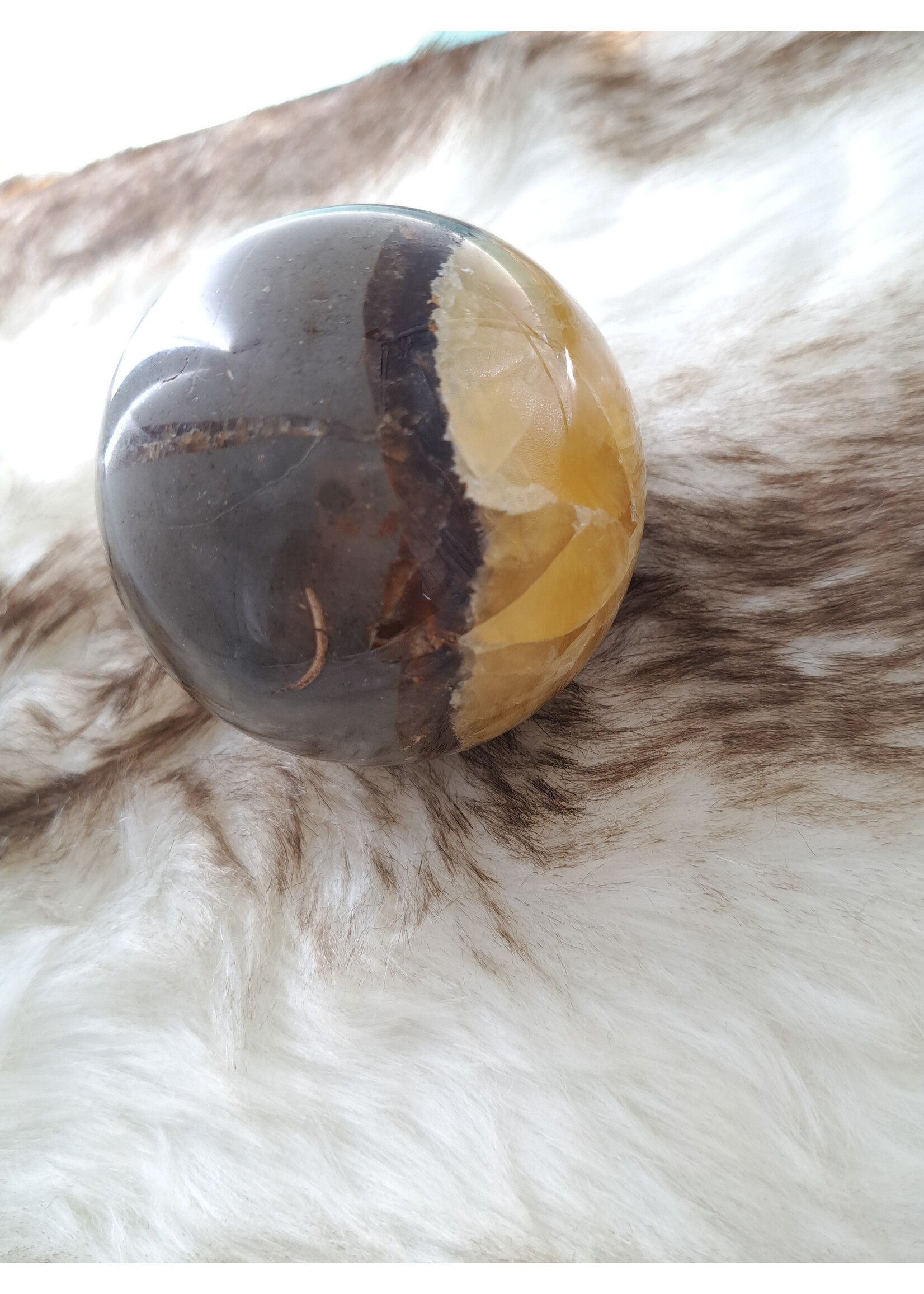 Septarie bol 7 cm