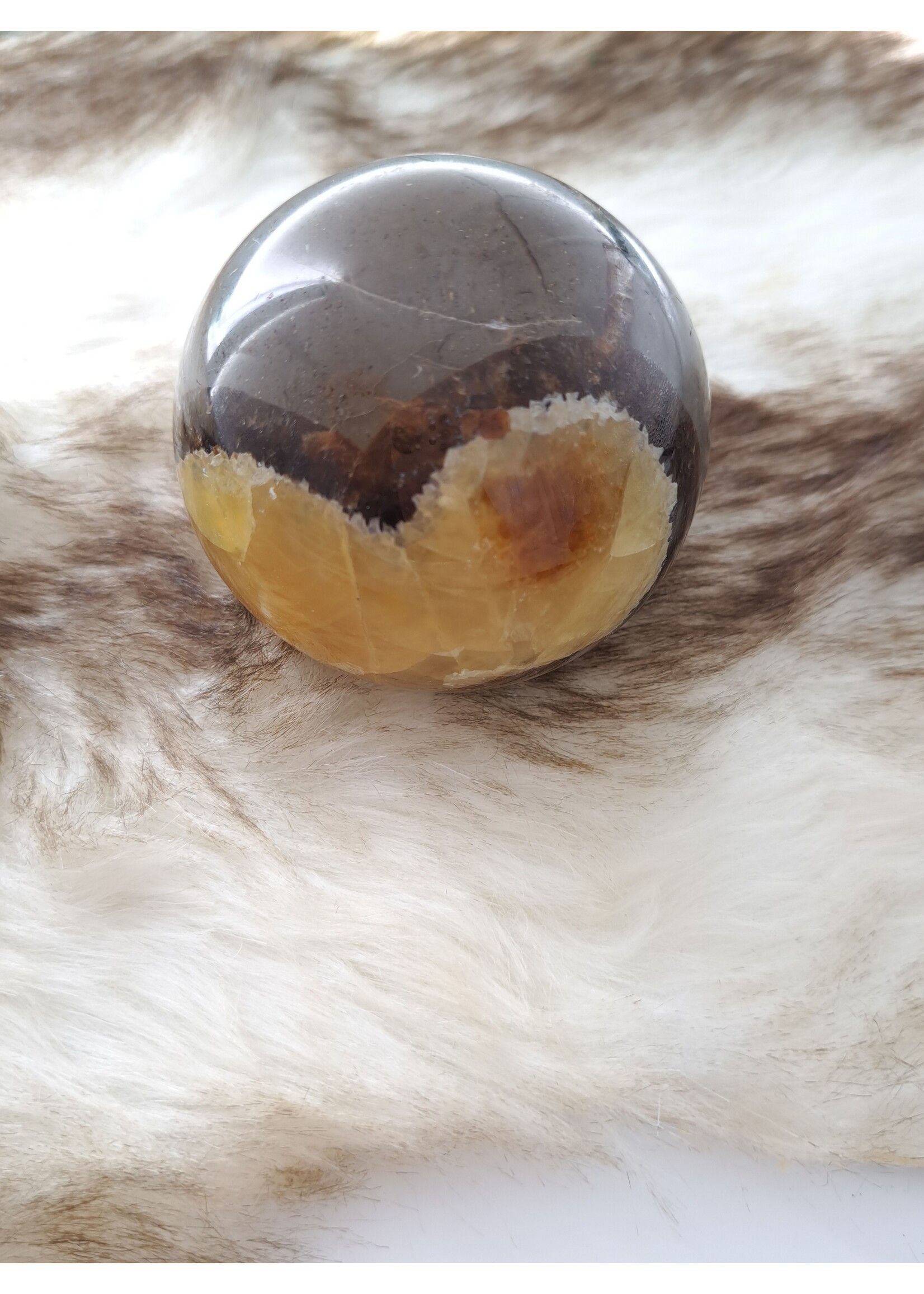 Septarie bol 7 cm