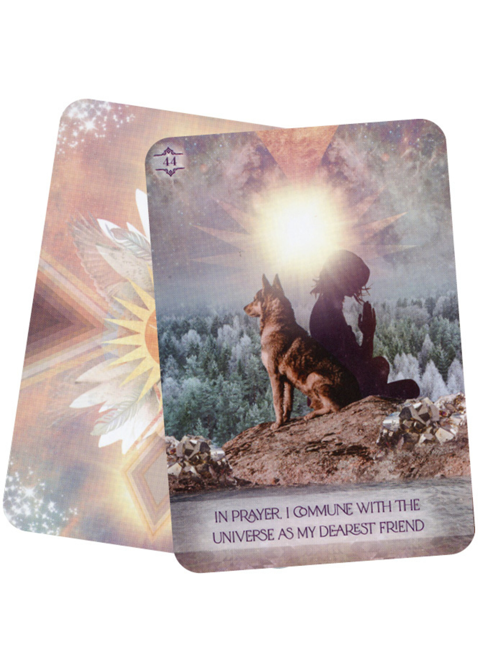 The law of positivism healing Oracle