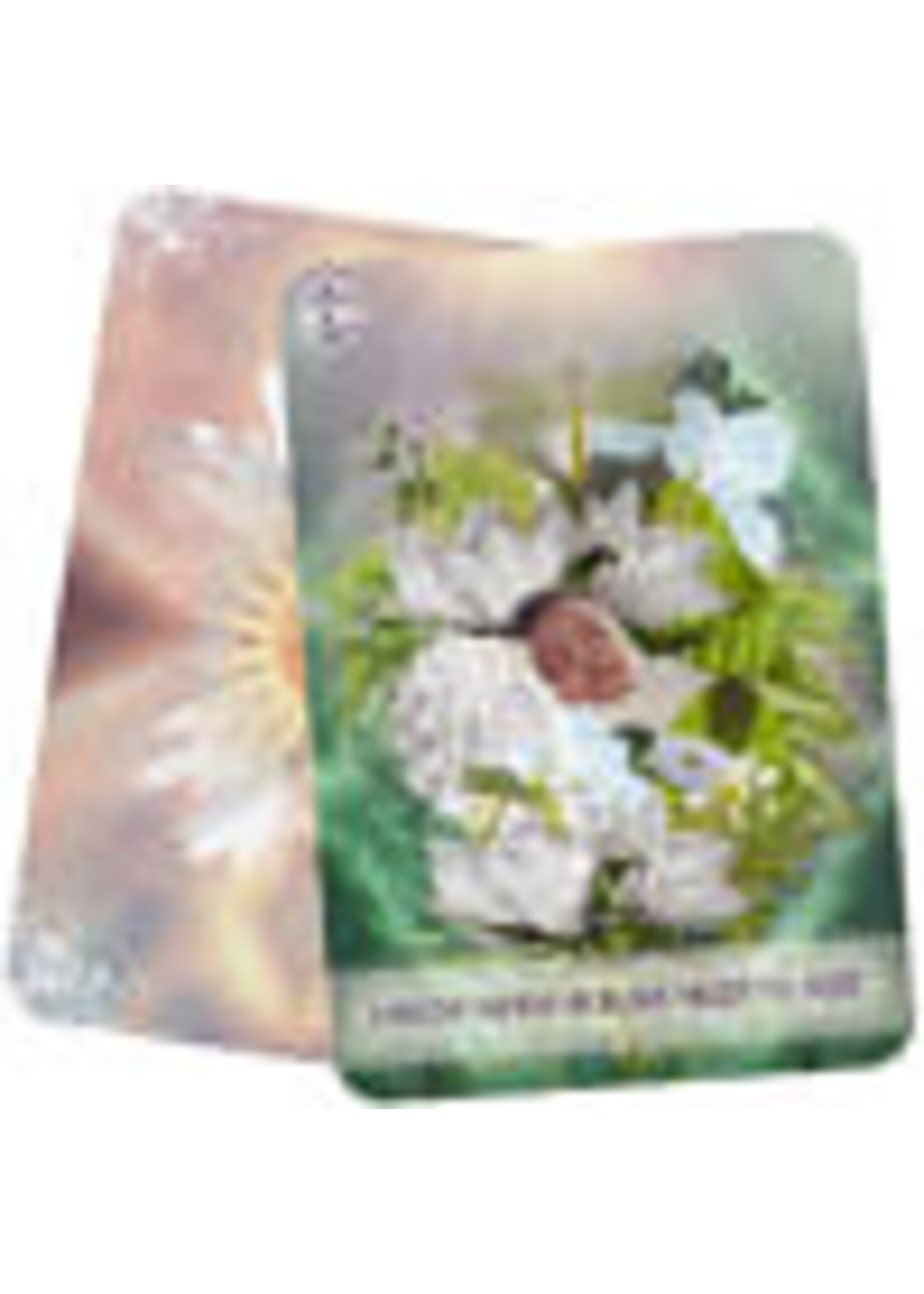 The law of positivism healing Oracle