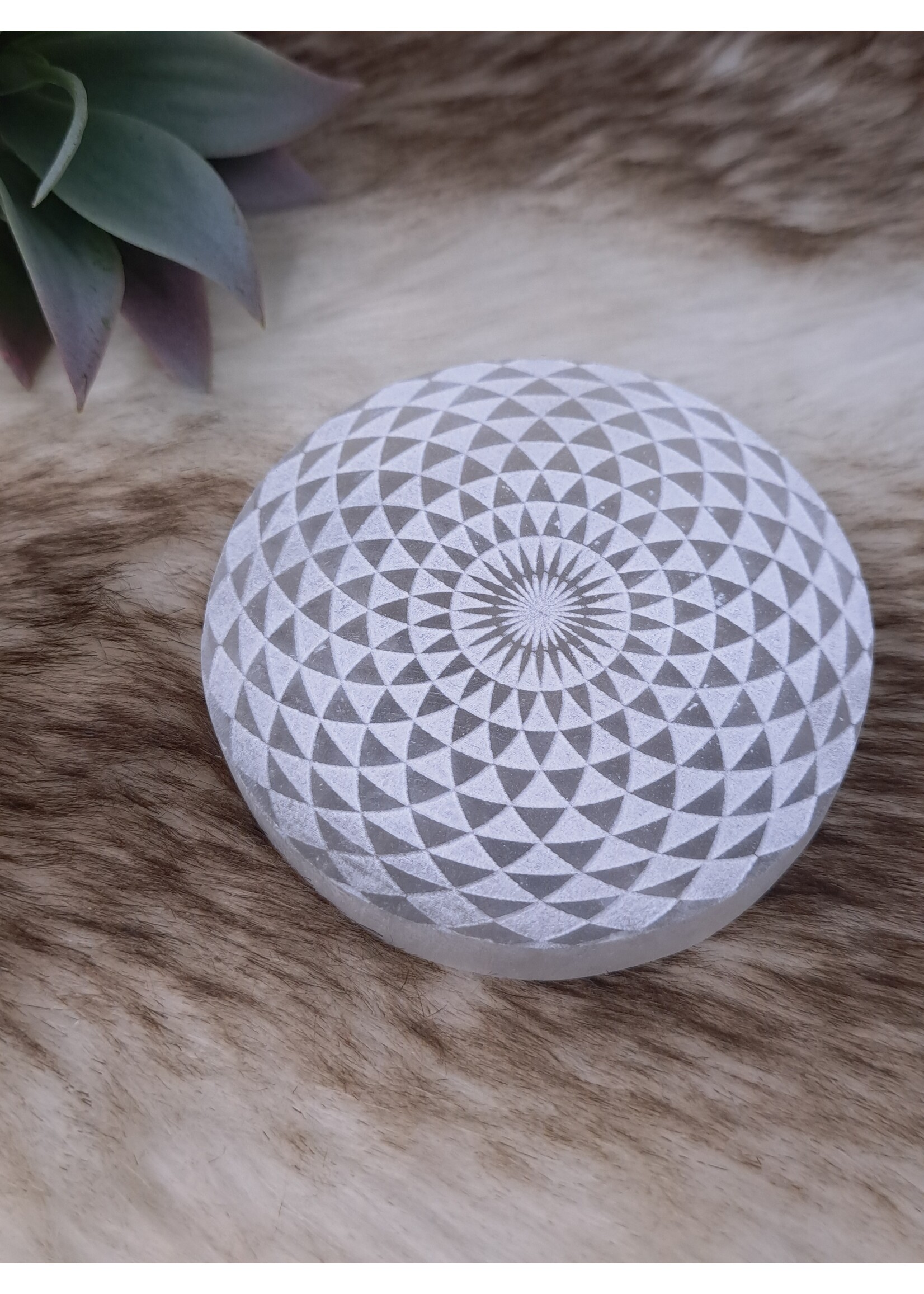 Seleniet oplaadschijf bloem 3D
