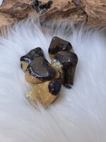 Knuffelsteen Septarie