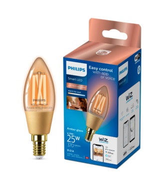 Philips WiZ Philips WiZ Amber glass bulb E14