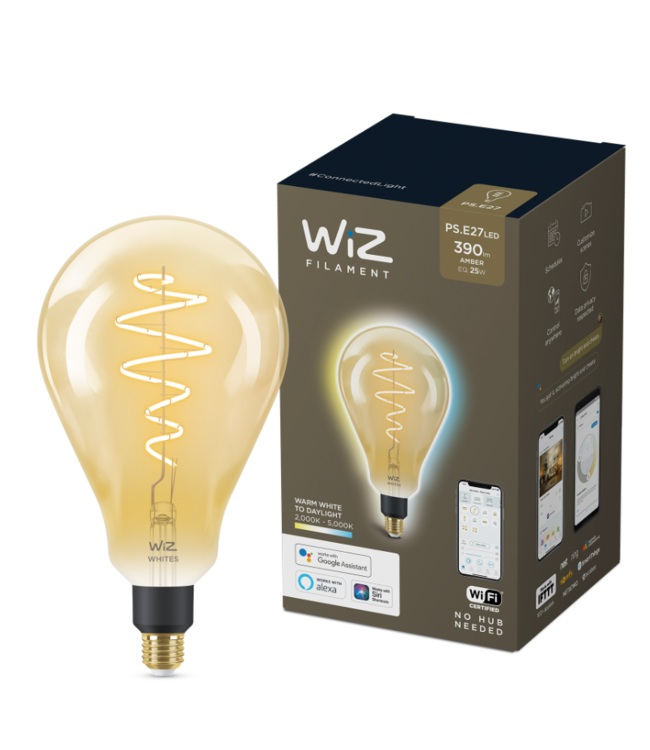 Philips WiZ Warm White Filament Globelamp LED 25W E27