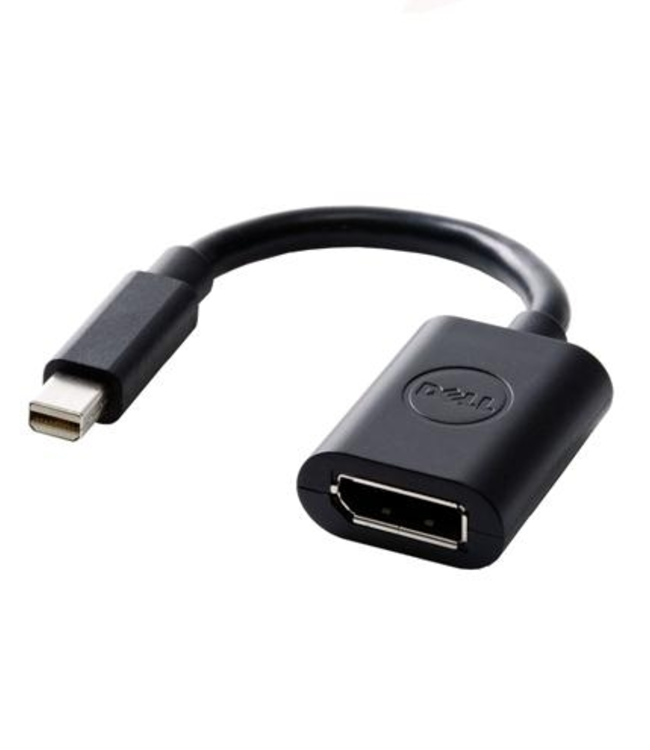 Dell mini displayport naar DisplayPort adapter