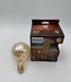 Philips Vintage Led Globe E27 G93 25W