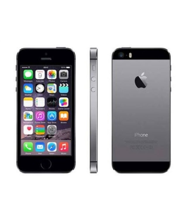 Apple iPhone 5S Grijs