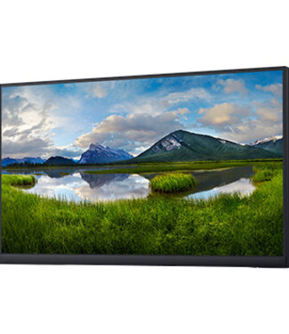 Dell Dell P2222H Monitor