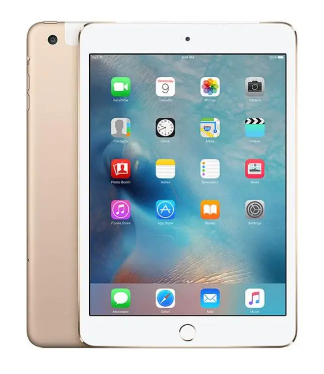 Apple iPad Mini 4 Wifi (A1538) Goud