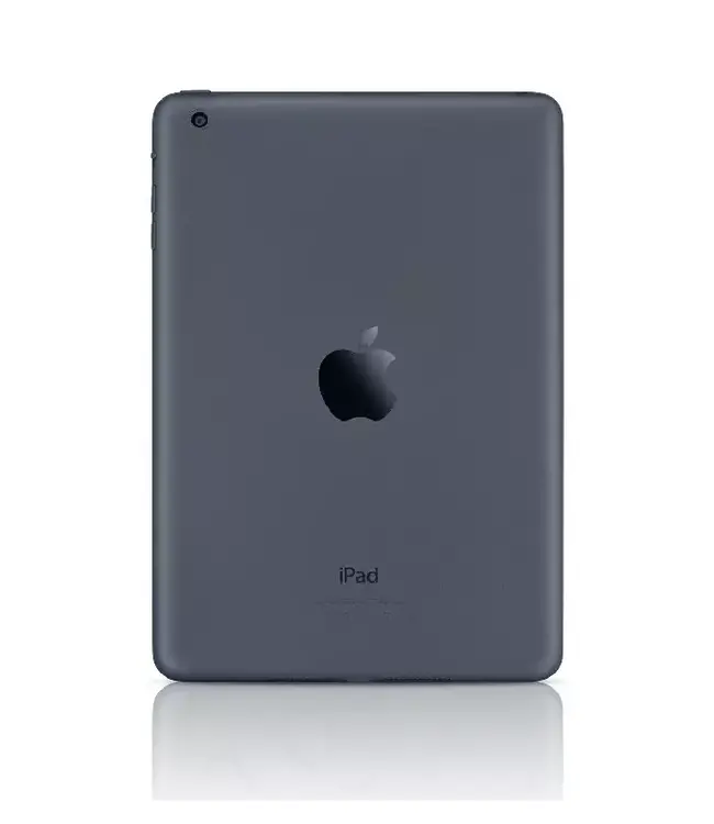 Apple iPad Mini 1e Generatie (A1432) Wifi + Cellular - Blauw