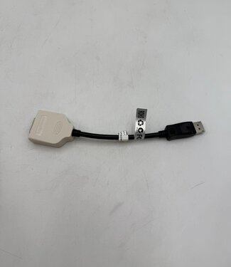Amphenol Amphenol DP/N 023NVR DisplayPort naar DVI Adapter