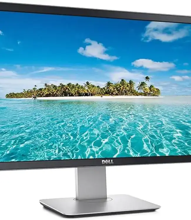 Dell P2414Hb 24 inch Monitor