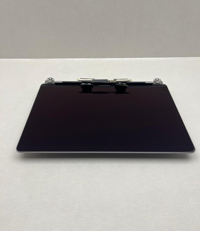 Laptop scherm Apple Macbook A1989