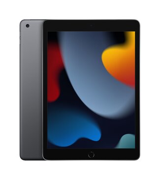 Apple Apple iPad 9e Generatie Wifi (A2602) Spacegrijs