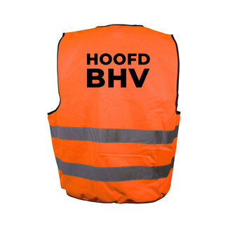 Safenorm HOOFD BHV Veiligheidsvest oranje achterzijde