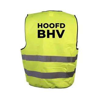 Safenorm MAIN BHV Safety vest yellow back