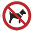 Normsigns Pictogram verboden voor honden Materiaal: PVC, Afmeting: 100 mm