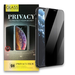 iPhone X/Xs/11Pro Tempered Glass