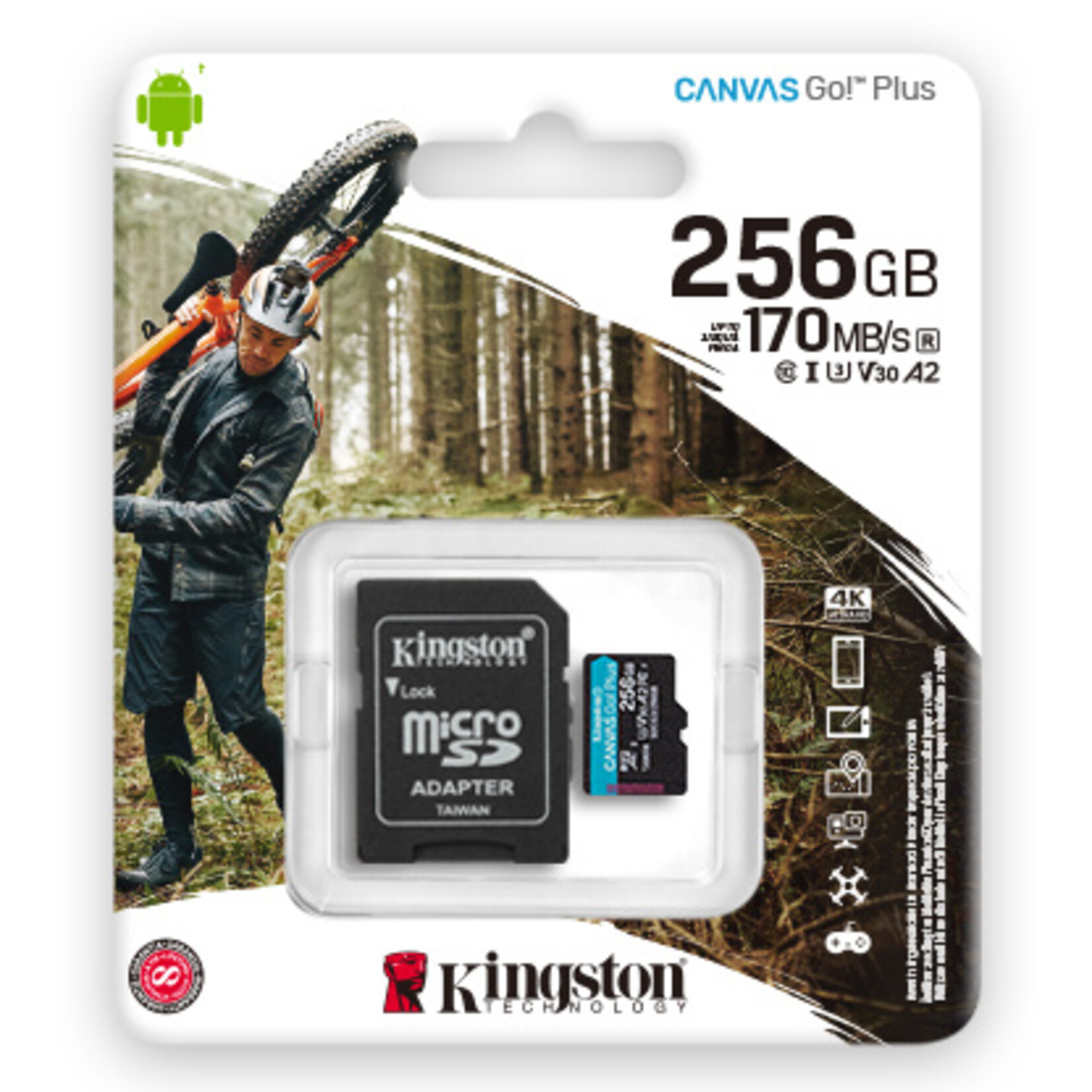 Kingston Kingston Class C10 SDCS2 Micro 256GB Kingston