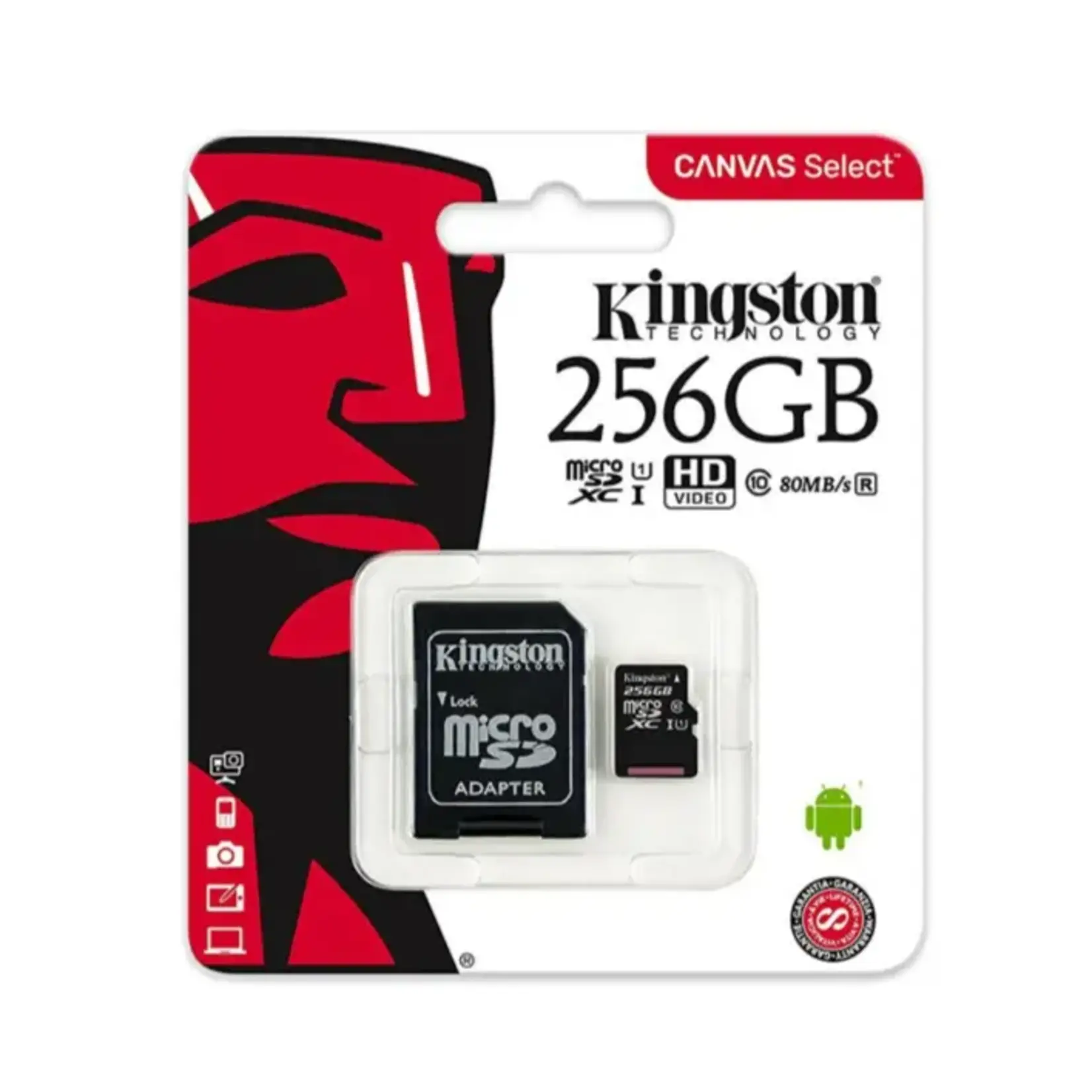 Kingston Kingston Class C10 SDCS2 Micro 256GB Kingston