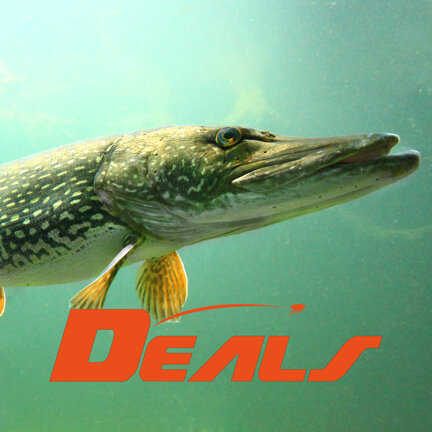 Raubfisch DEALS