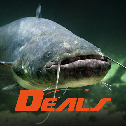 Wels DEALS