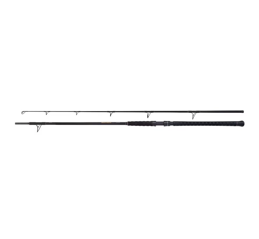 Rod Beastmaster Catfish Static