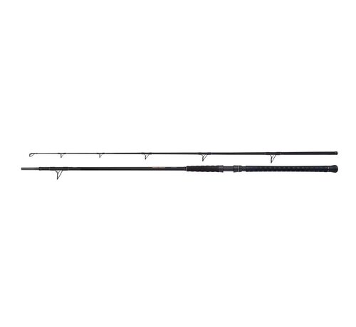 Shimano Ruten Beastmaster Catfish Static