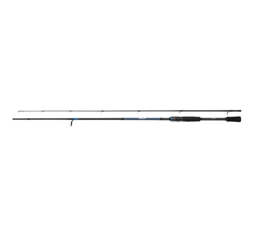 Shimano Ruten SLX Casting Moderate