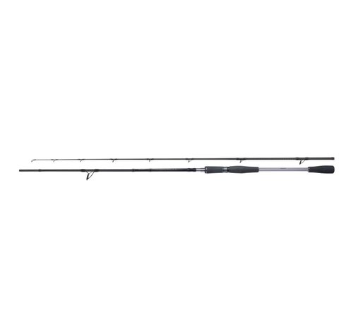 Shimano Ruten Yasei Pike Spinning 2,20m 20-60gr
