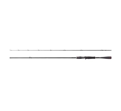 Shimano Hengel Zodias Casting