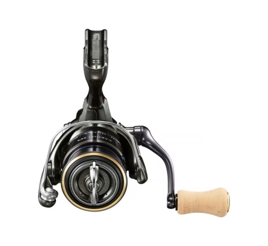 Reel Cardiff XR