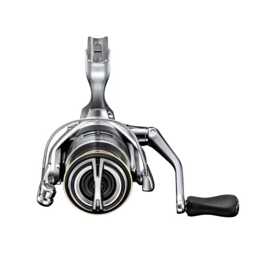 Reel Sedona FJ