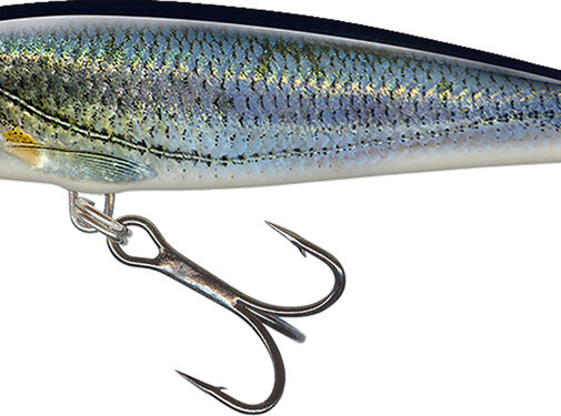 Salmo Minnow 7cm 6gr Floating
