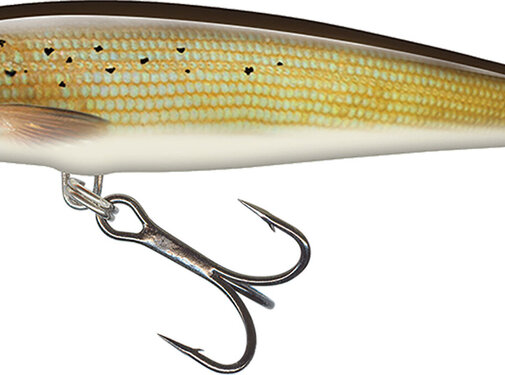 Salmo Minnow 5cm 5gr Sinking