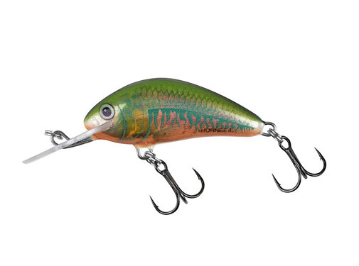 Salmo Hornet 4cm 4gr Sinking