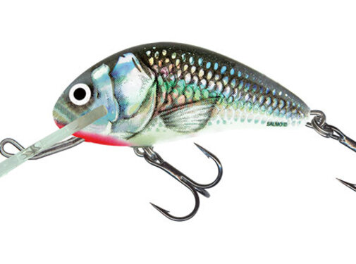 Salmo Hornet 5cm 8gr Sinking