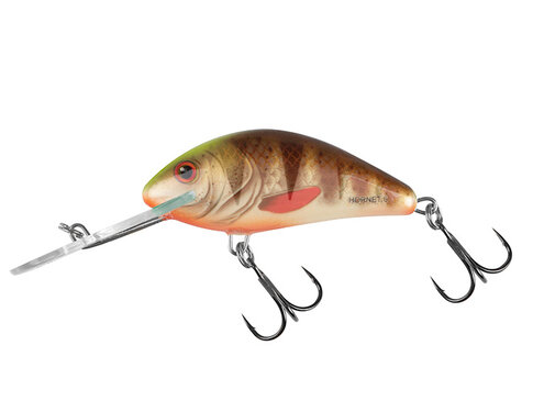 Salmo Hornet 6cm 10gr Floating