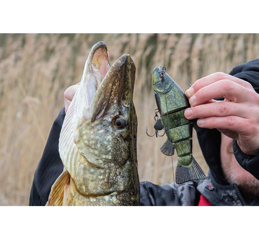 Replicant Jointed Super Natural Tench 18cm