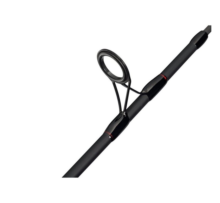 Catch More Fish Spin Combo