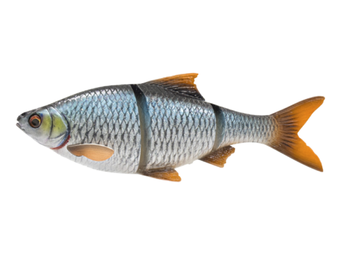 Savage Gear 4D LT Roach 32CM 420G SS