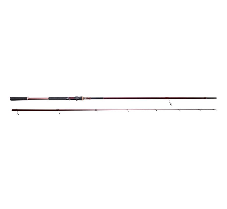 W6 POWERTEEZ 8'4"/250CM MH 21-70G 2SEC